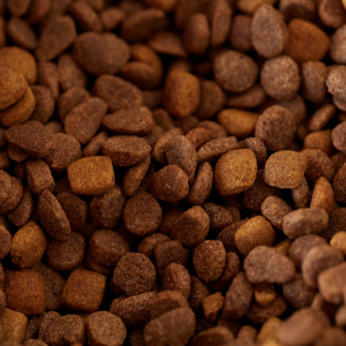 Progetto senza titolo (3) Vendita alimenti per cani di qualità a Torino